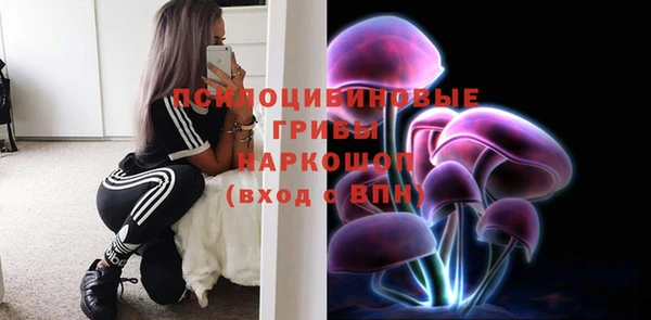 кристаллы Вяземский