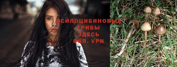 кристаллы Вяземский